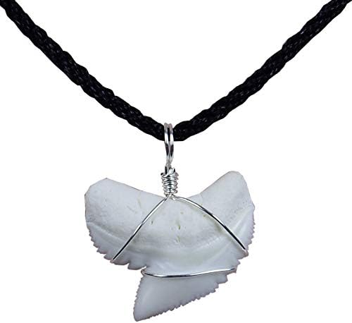 GemShark Real Shark Tooth Necklace White Tip, Tiger Sterling Silver Charm Pendant for Boys Girls