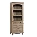 Sauder Harbor View Library with Doors, Salt Oak finish