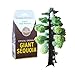 Copernicus Toys Crystal Growing: Giant Sequoia