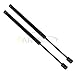 Maxpow 1Pair Front Hood Lift Supports Shocks Struts Compatible With 2000 2001 2002 2003 Maxima 4161