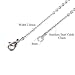 Wholesale 12 PCS Stainless Steel Flat Cable Chain Link Necklace Chains Bulk for Jewelry Making (20 Inch(2MM))