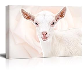 Canvas Print Wall Art - Little Sheep on Floral Background - Gallery Wrap Modern Home Art | Ready to Hang - 12x18 inches