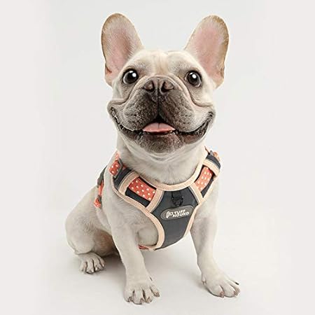 unchewable dog harness