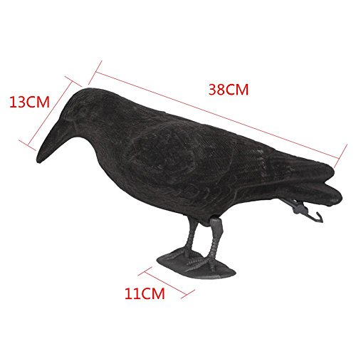 New-look Crow Decoy Hunting Garden Flocked Hard Plastic Jet Black Crow Decoy Hunting Stand Body Feet Stake