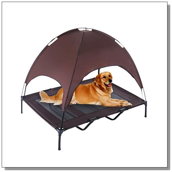 Why Dogs Like Cardboard Boxes BLUE CRYSTAL SKY