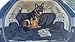 Dog Back Seat Cover - for Pets in SUV's Trucks & Cars - Waterproof & Nonslip Material