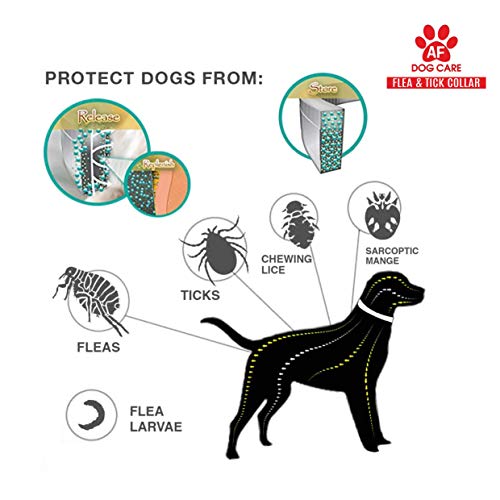 AF Dog Flea and Tick Control Collar - 8 Months Flea and Tick Control for Dogs - Natural, Herbal, Non-Toxic Dog Flea Treatment - Waterproof Protection and Adjustable Best Flea Collar for Dogs