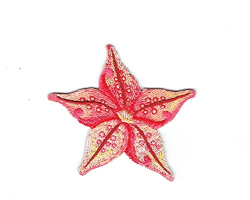 Starfish - Tropical Sea Star - Coral - Ocean - Iron on Applique - Embroidered Patch