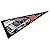 Dale Earnhardt Jr. Pennant and Banner