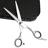Professional Hair Cutting Shears,Hair Scissors