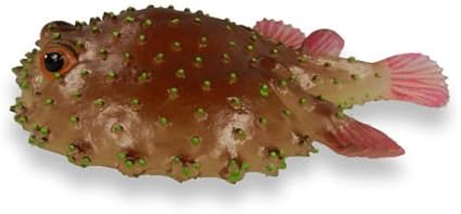 Amazon Com Aaa 13809bat Bat Fish Bottom Feeder Sealife Toy Model