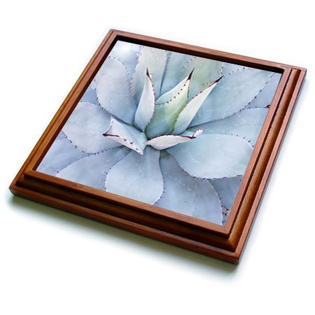 3dRose trv_255513_1 Image of Beautiful Mexican Trivet with Tile, 8 by 8