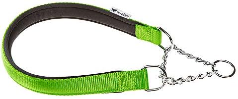 ファープラスト デイトナ Css 25 65犬 首輪 チェーン ハーフチョーク 首回り65cm グリーン