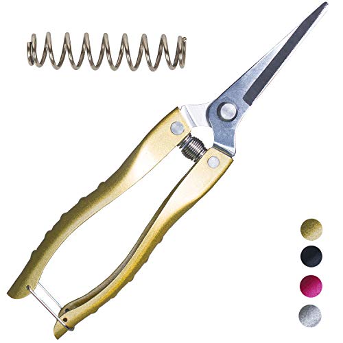 Pruning Shears Straight Tip Pruning Trimming Scissors Florist Scissors-Stainless Steel Ultra Sharp Multi-Purpose Hand Pruner Scissors for Garden Harvesting Fruits Vegetables, Trimming Flowers, Gold