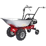 Motor briggs stratton 450 e