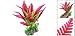 Uxcell Jardin Aquarium Fish Tank Ceramic Base Plastic Pla