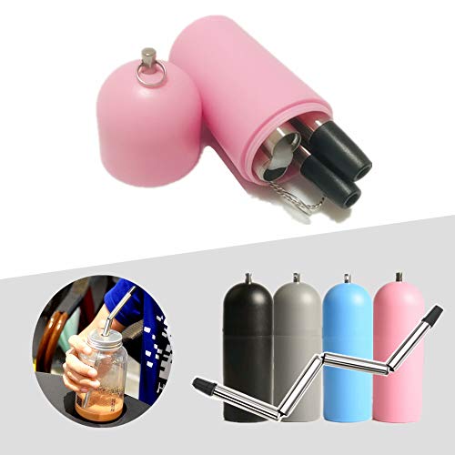 Joyous Journey Portable Reusable Stainless Steel Collapsible Straw Set, Pocket Folding Drinking Straw with Tiny Capsule Case and Cleaning Brush | Make Drinking Safe & Fun (Pink)