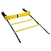 Reehut Agility Ladder Speed Training Exercise Ladders (Yellow, 12 Rungs) w/ FREE USER E-BOOK + CARRY BAG