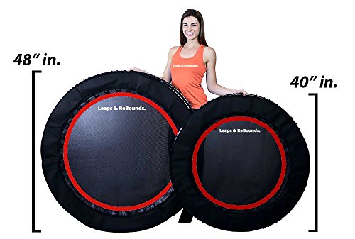 image for Leaps & Rebounds Bungee Rebounder - In-Home Mini Trampoline - Safety B