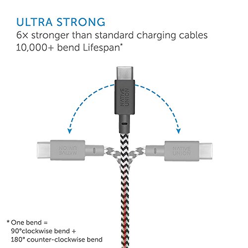 Native Union BELT Cable USB-A to USB-C - 4ft Ultra-Strong Reinforced Certified Charging/Sync Cable with Leather Strap - Compatible with All USB-C Devices (Zebra)