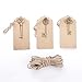 Bingcute Mixed Set of 30 Vintage Bronze Skeleton Key Charm with 30PCS Kraft Paper Gift Tags & 30 Feet Natural Jute Twine