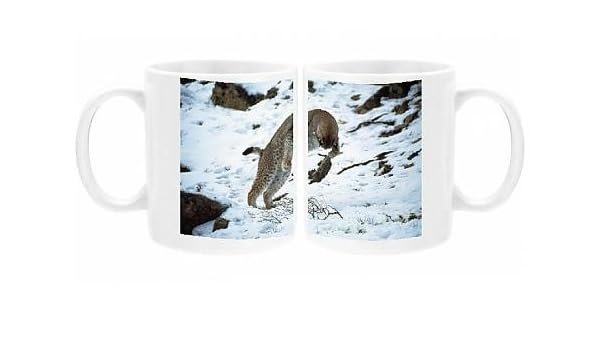 Foto taza de FL-16 Eurasian Lynx - jugando con presa: Amazon.es: Hogar