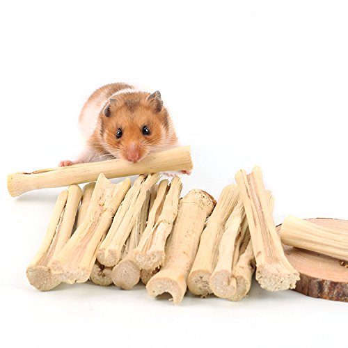 4 Bwogue+Squirrel+Rabbits+Chinchilla+Hamster