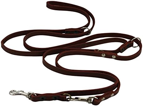 Brown 6 Way European Multifunctional Leather Dog Leash, Adjustable Schutzhund Lead 49"-94" Long, 3/8" Wide (10 mm) for Small Dogs