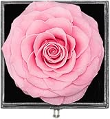 Miofula Preserved Real Rose Gift Box with Necklace & Earrings for Her view 4