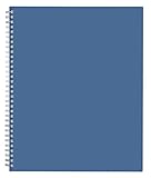 Blue Sky 2015-2016 Academic Year Weekly and Monthly Planner, Endless Summer Collection, Wire-O Bound, Blue Cover, 8.5 x 11 Inches (17350-W)