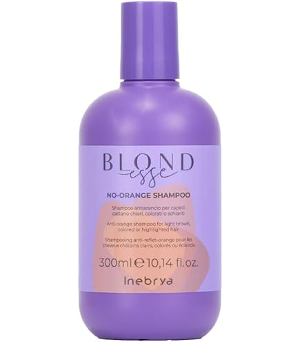 Amazon.com : Inebrya Blondesse No-Yellow Shampoo 300 ml : Beauty