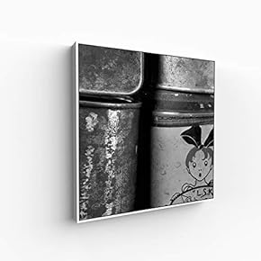 Canvas Wall Art for Living Room, Bedroom Portrait Framed Canvas Prints for Home Decoration Ready to Hang - 16x16 inches