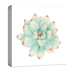 Lone Succulent Green Yellow Red - Canvas Art