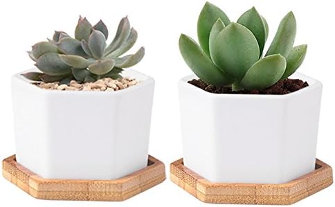WITUSE ceramic big hexagon succulent plant pot/office flower pots/catus pots with wooden saucers- 2 sets
