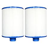 Replacement Filter Cartridge Waterway Front Access Skimmer - 2 Pack