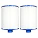 Replacement Filter Cartridge for Waterway Front Access Skimmer - 2 Pack