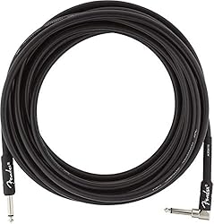 Fender Professional Series Instrument
