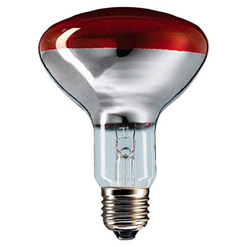 Philips IR 250R R125 E27 Infrared Lamp 250 Watt Amazon.co.uk Lighting