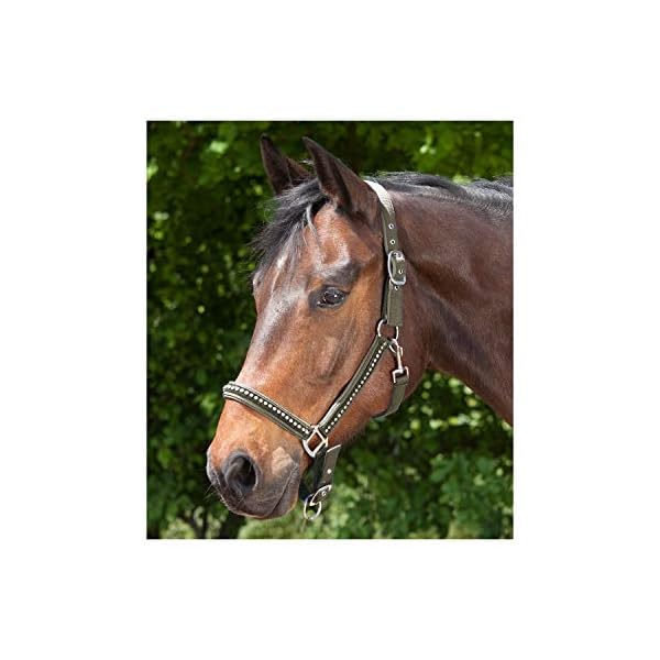 Waldhausen Capezza Modello Crystal Full, Blu Navy