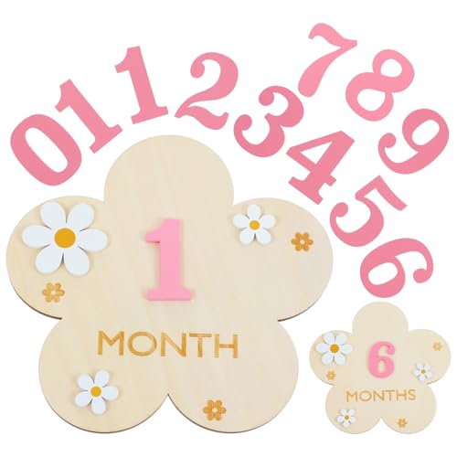 3D Baby Monthly Milestone Markers Disc, Milestone Wooden Circles for Baby Photos, Babies Announcement Sign, Babies Months Signs, 1-12 Month Milestones Cards