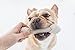 Petstages NewHide Alternative Dog Chew Toy, XS