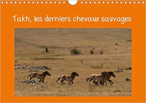 Takh Les Derniers Chevaux Sauvages Nom Mongol De Ce Cheval Originaire D Asie Centrale Calvendo Animaux French Edition Terry Miss Amazon Com Books