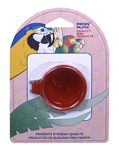 Penn Plax (BA435) Egg Treat Cup for Bird Bath Cage, Assorted