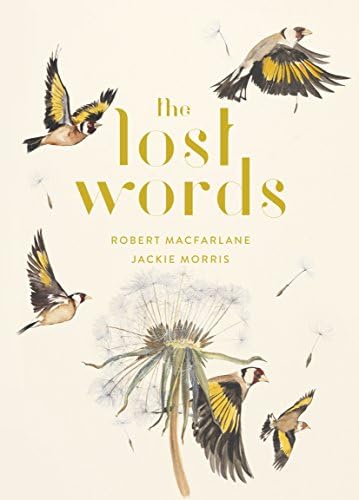 Amazon.com: The Lost Words: 9780241253588: Macfarlane, Robert