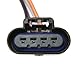 Delphi FG0072 Fuel Pump Module
