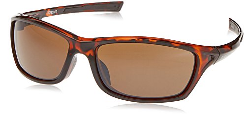 Forecast optics chet sunglass, tortoise, brown polarize…