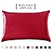 Yanibest Silk Pillowcase for Hair and Skin, Standard Queen King Pillow with Hidden Zipper, Soft Breathable Smooth Cooling Pillow for Sleeping