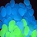 Qable Powerz 200 PCS Glow in The Dark Pebbles, Glow in The Dark Garden Pebbles Decorative Glow Stones Path Lights Outdoor Gravel Stones for Walkways, Garden, Yard, DIY Outdoor Decor (Blue, Green)