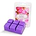 Variety Scented Wax Melts for Warmer - 6 Fragrances: Lavender, Vanilla, Rose, Apple Cinnamon, Lilac, Black Cherry - 100% Soy Candle Cubes
