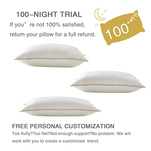 Lofe Adjustable Side Sleeper Pillow Hotel Collection - Goose Down Alternative Pillow 2 pack - Hypoallergenic Hospital Bunk Bed Pillow for Stomach Sleeping Queen Size